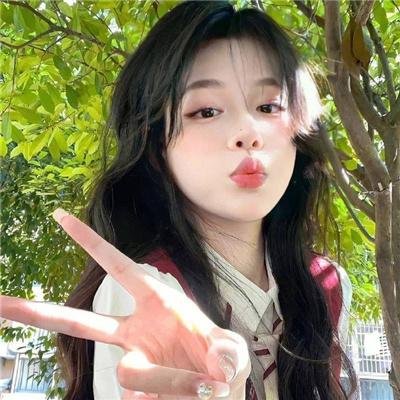 树木之城